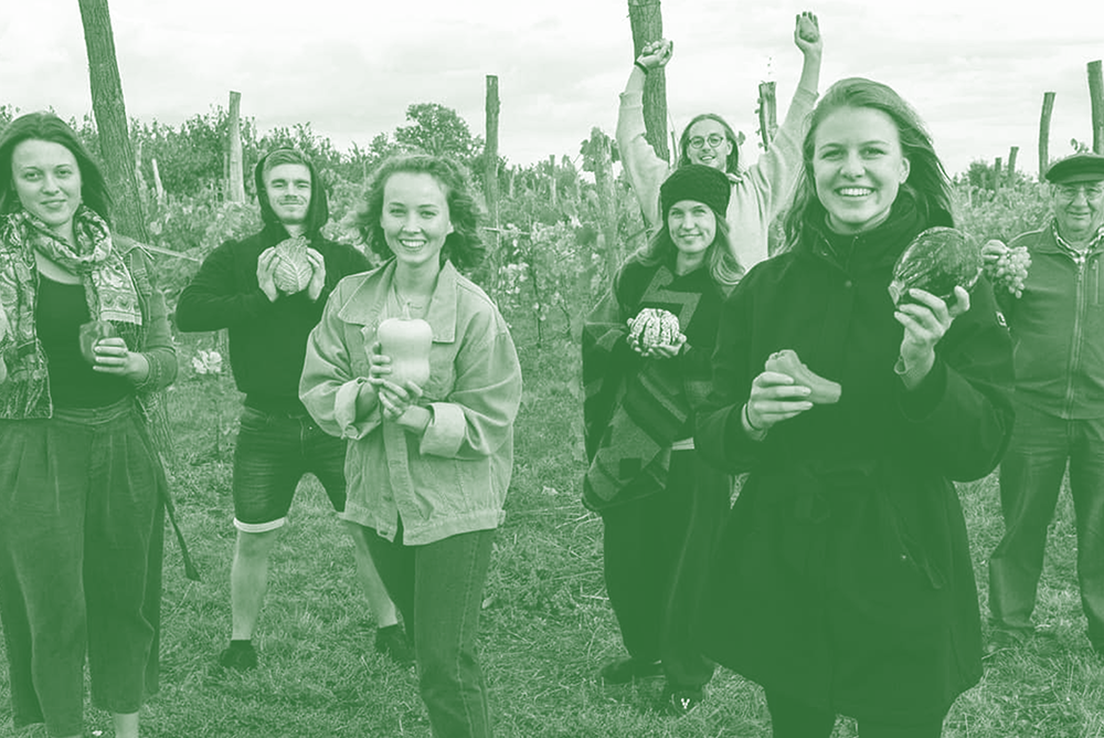 Muchos jovenes en un huerto con verduras en las manos