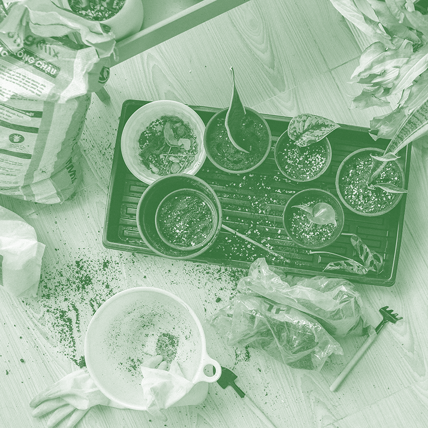 Cultivos autónomos y ecológicos